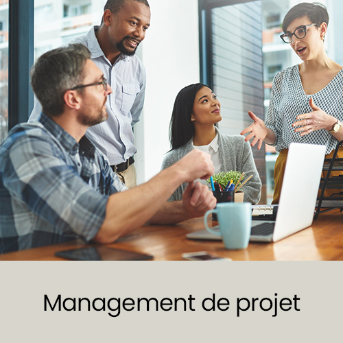 Gestion de projet : méthodologie et mise en pratique avec Project 2016