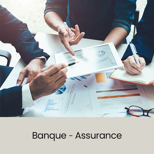 Maîtrisez le conseil en banque ou en assurance : approche commerciale, relation clientèle et obligations légales