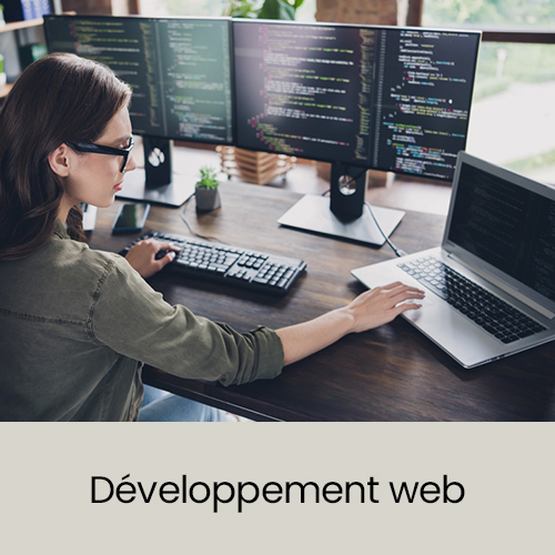 Développement web : maîtrise des bases (HTML5, CSS3 et JavaScript) - E-learning vidéo